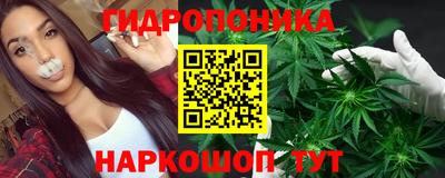 гашик Жуковский