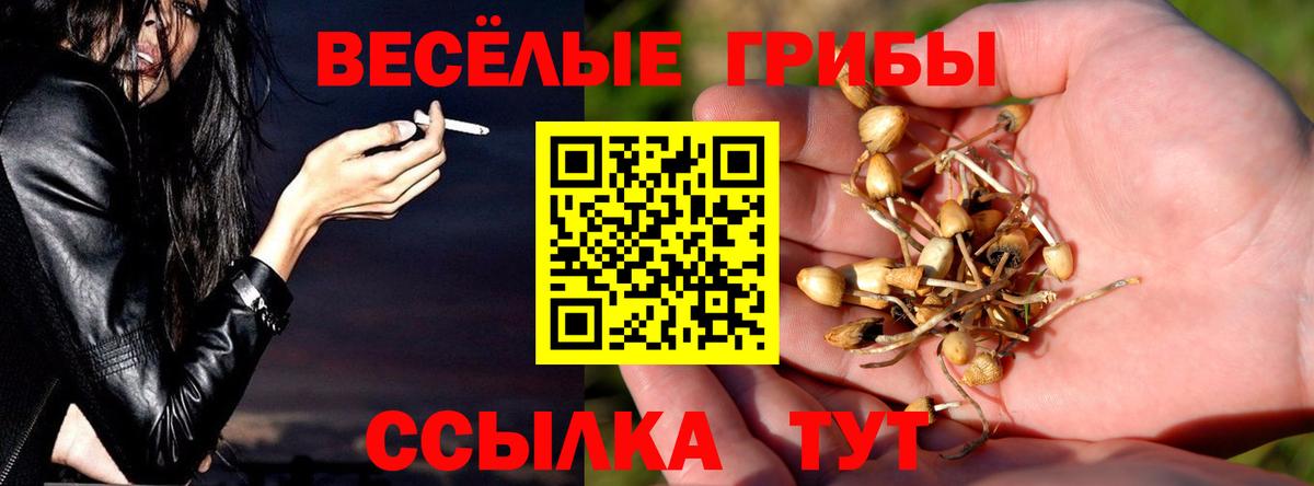 Галлюциногенные грибы MAGIC MUSHROOMS Ливны